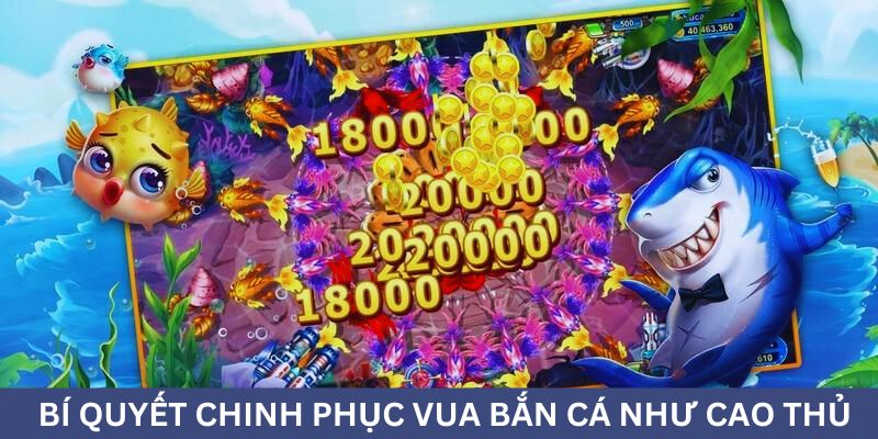 Bí quyết chinh phục như một cao thủ